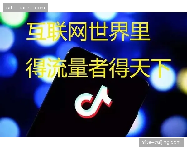 现阶段粉丝不仅是内容的消费者 正加速向内容生产者与传播者角色转变